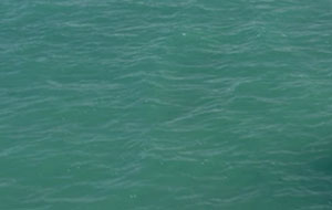 Solas and Rubex boating